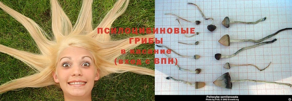 ГАЛЛЮЦИНОГЕННЫЕ ГРИБЫ Верхнеуральск