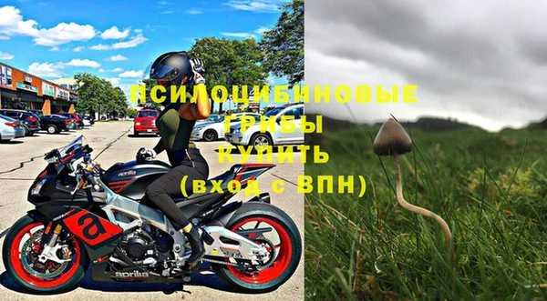 2c-b Верхний Тагил