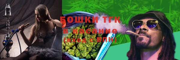 2c-b Верхний Тагил