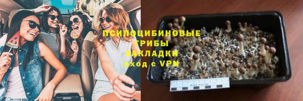 ГАЛЛЮЦИНОГЕННЫЕ ГРИБЫ Верхнеуральск
