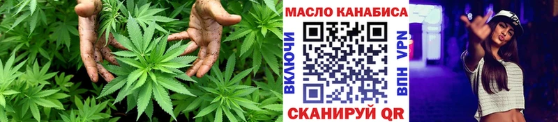 ТГК Wax  где найти   Кедровый 