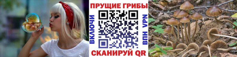 Галлюциногенные грибы мухоморы Кедровый
