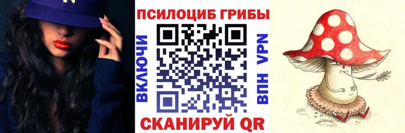 Псилоцибиновые грибы Psilocybine cubensis наркошоп Кедровый